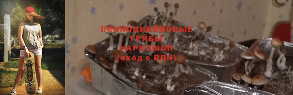 скорость Заволжье