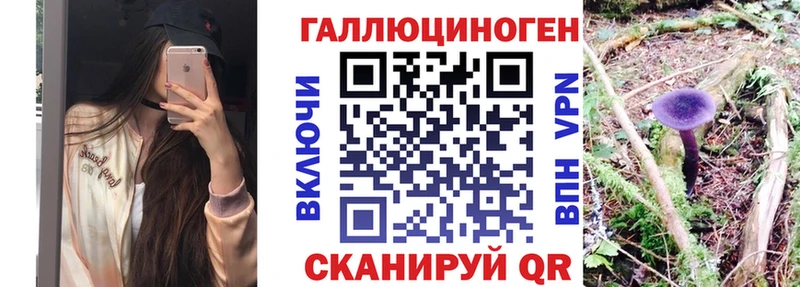 Купить где Видное Псилоцибиновые грибы GOLDEN TEACHER